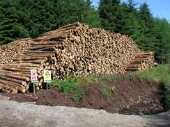 P20036284724	Logs beside the A816 near Salachary.