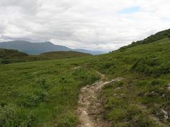 P20037024860	The path leading northeastwards from the farm at Greenfield.