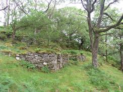 P20037095109	A ruined cottage to the south of Doirlinn.