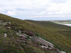 P20038106745	The moorland on the west side of the Kyle of Durness.