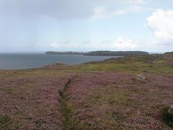 P20038136924	The moorland leading to Sletell.