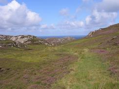 P20038146972	The moorland near Poulouriscaig.