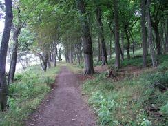 P20038217500	A track through the grounds of Dunrobin Castle.