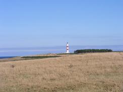 P20038250074	The view towards Tarbat Ness lighthouse.