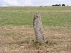 P20038270173	A standing stone beside the B817 road between Invergordon and Alness.