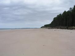 P20039027907	The beach in front of Culbin Forest.