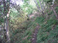 P20039178860	The path between Balmerino and Wormit.