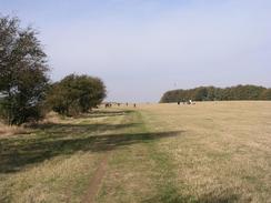 P2003A129671	The Ridgeway leading to Barbury Castle.