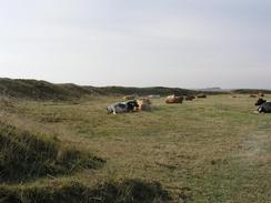 P2003A129676	The ramparts of Barbury Castle.