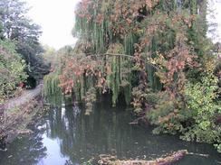 P2003A149755	The Oxford canal in Oxford.