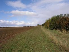 P2003A209861	The path heading north beside the road from Castle Acre.