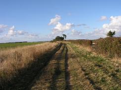 P2003A209881	Heading north along the Peddars Way.