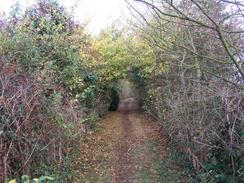 P2003A219911	The path near the A149 road.