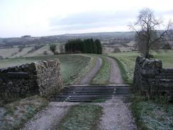 P2003C280477	The track leading down to Shaw's Farm.