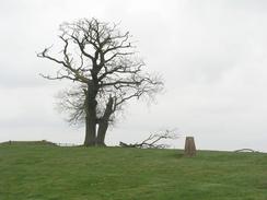 P20033271629	The trig point on Beacon Hill.