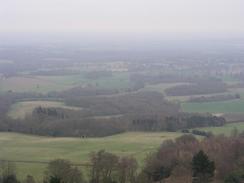 P20033281746	The view from Leith Hill Tower.