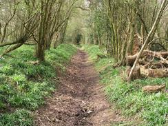 P20034121946	The path near Chelsham Court Farm.