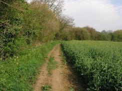 P20034252068	The path leading southeastwards out of Bishop's Stortford.