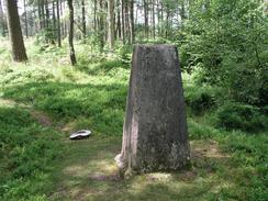 P20046133170	Black Down trig point.