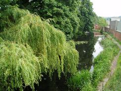 P20047260749	The Stroudwater Canal north of Kings Stanley.