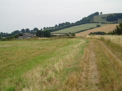 P20047291108	The path around Meon Hill.