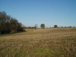 P2004B142256	Heading south towards Cressing beside the River Brain.