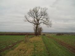 P2004B282540	Orwell trig pillar.