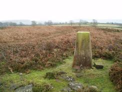 P2004C042697	Fallinge trig pillar.