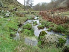 P2004C042750	The brook running down the valley.