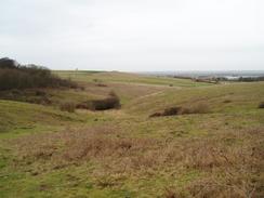 P20051093638	Looking across Therfield Heath.