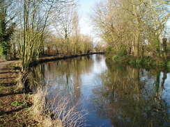 P20053134909	The River Lea between Ware and Hertford.