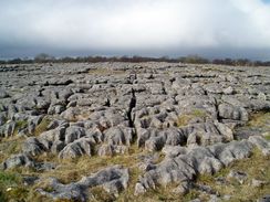 P20053265206	Limestone pavement to the north of Grassington.