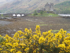 P20055065587	Eilean Donan Castle.