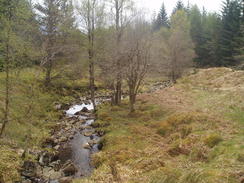 P20055095810	A stream in the Inchnacardoch Forest.