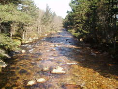 P20055136117	The river at the Cairngorm Club Footbridge.