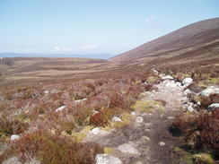 P20055136156	The path into the Lairig Ghru.