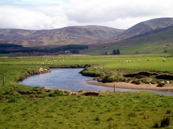 P20055166551	The River South Esk.