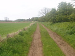 P20055176664	The track heading east towards Kirkhill.