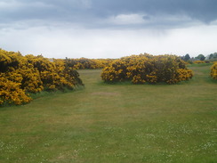 P20055176680	The golf course in Montrose.