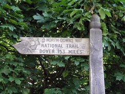 P20056115800	The first North Downs Way signpost in Farnham.