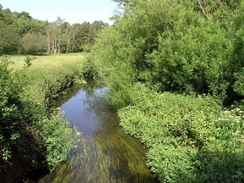 P20056115808	The view from the bridge over the River Wey.