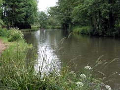 P20056115846	The River Wey.