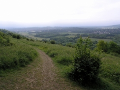 P20056125924	The path on the edge of Ranmore Common.