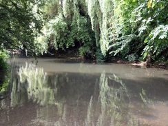 The River Mole.