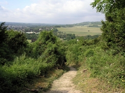 P20056125960	The view from the climb up to the top of Box Hill.