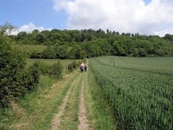 P20056125992	Heading north towards Drawcombe Wood.