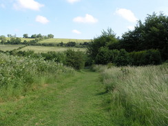 Heading up to the top of Ockley Hill.