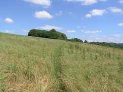 P20056186091	The path near Clarks Lane Farm.