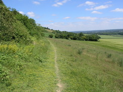 P20056186114	The path below the escarpment to the east of the A233.