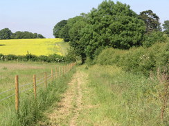 North Downs Way